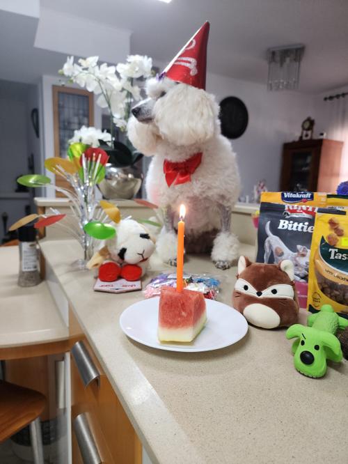 Nina Weissman, Birthday Party 12