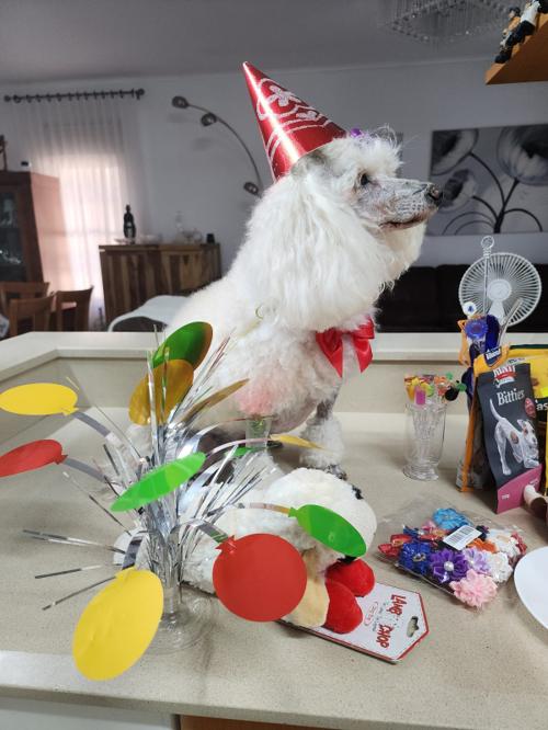 Nina Weissman, Birthday Party 12