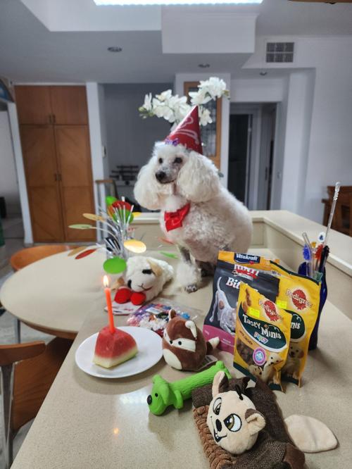 Nina Weissman, Birthday Party 12