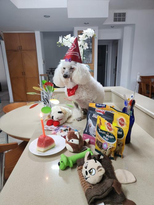12th Birthday - 08/08/2023
