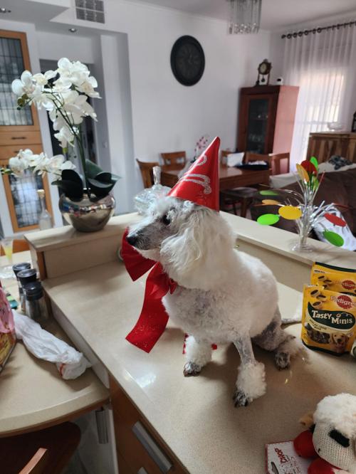 13th Birthday - 08/08/2024