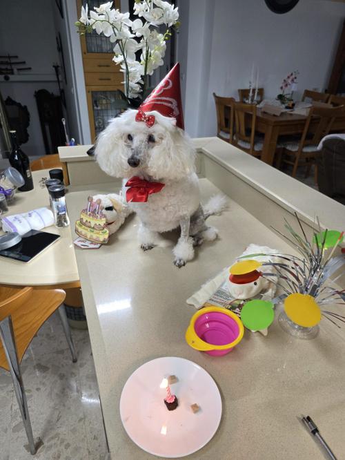 Nina Weissman, Birthday Party 14