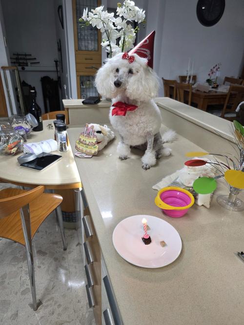 Nina Weissman, Birthday Party 14