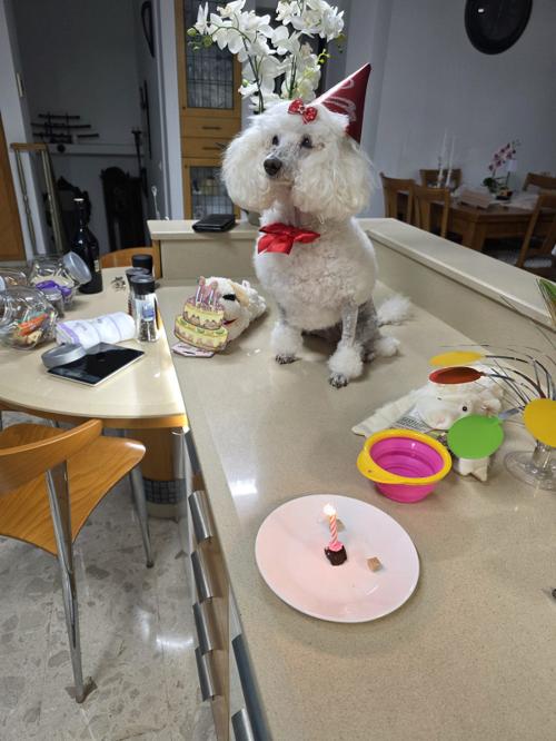 Nina Weissman, Birthday Party 14