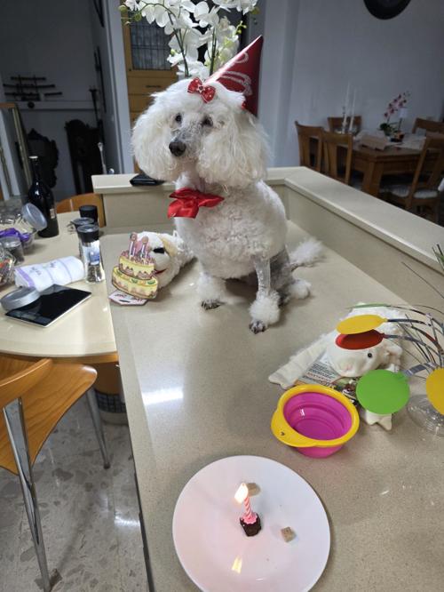 Nina Weissman, Birthday Party 14