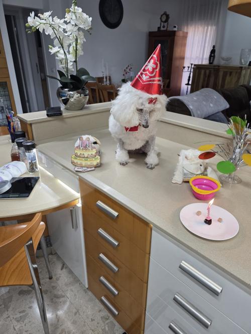 14th Birthday - 08/08/2025