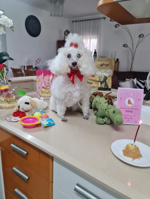 Nina Weissman, 15th Birthday