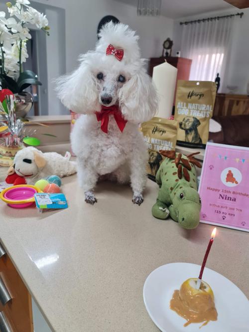 Nina Weissman, 15th Birthday