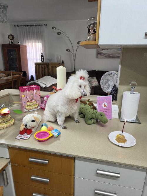 Nina Weissman, 15th Birthday