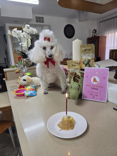 15th Birthday - 08/08/2026