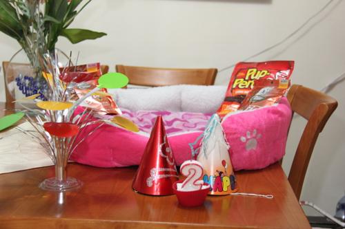 Nina Weissman, Birthday Party 2