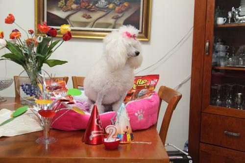 Nina Weissman, Birthday Party 2