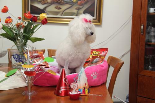Nina Weissman, Birthday Party 2
