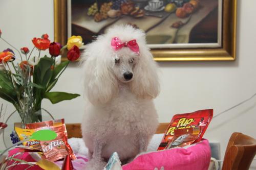 Nina Weissman, Birthday Party 2