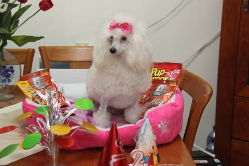 Nina Weissman, Birthday Party 2