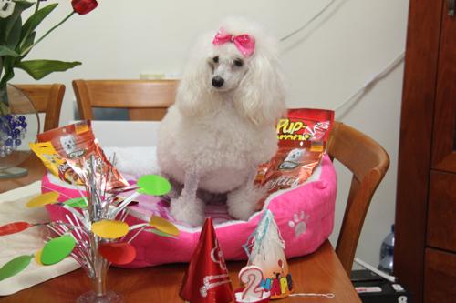 Nina Weissman, Birthday Party 2