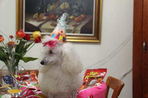 Nina Weissman, Birthday Party 2