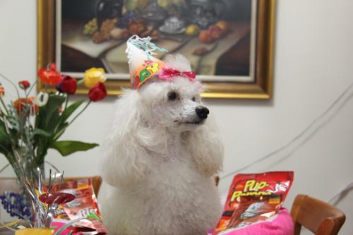 Nina Weissman, Birthday Party 2