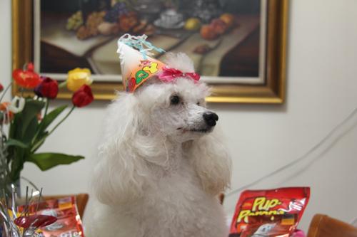 Nina Weissman, Birthday Party 2