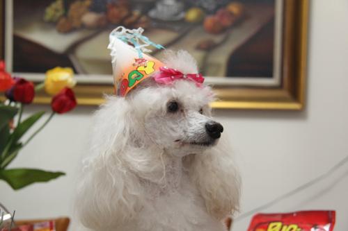 Nina Weissman, Birthday Party 2