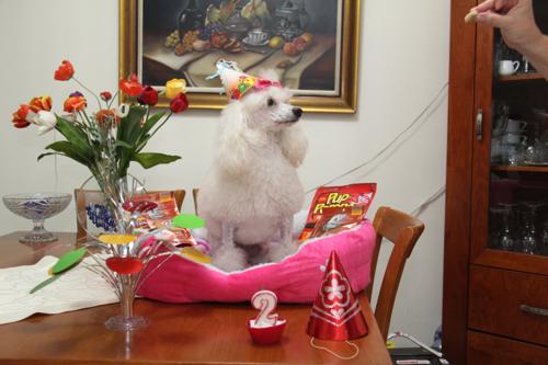 Nina Weissman, Birthday Party 2