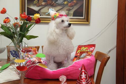 Nina Weissman, Birthday Party 2