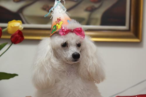Nina Weissman, Birthday Party 2