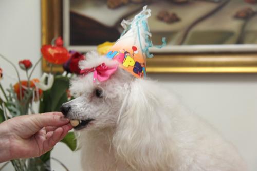 Nina Weissman, Birthday Party 2