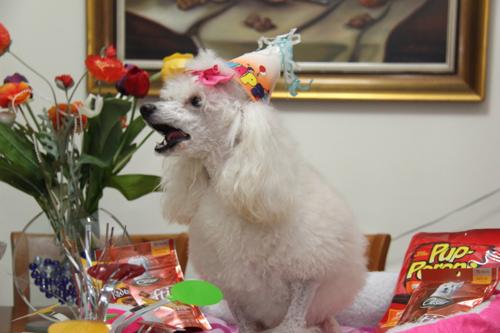 Nina Weissman, Birthday Party 2