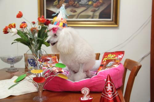 Nina Weissman, Birthday Party 2