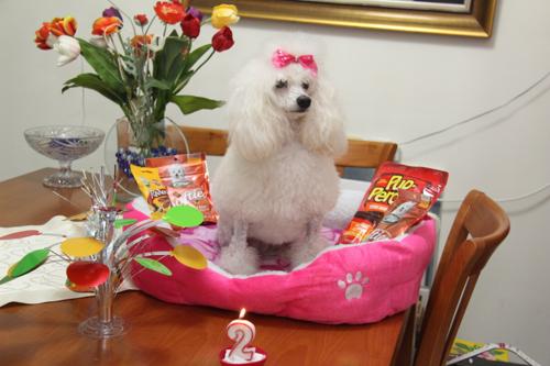 Nina Weissman, Birthday Party 2