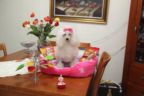 Nina Weissman, Birthday Party 2