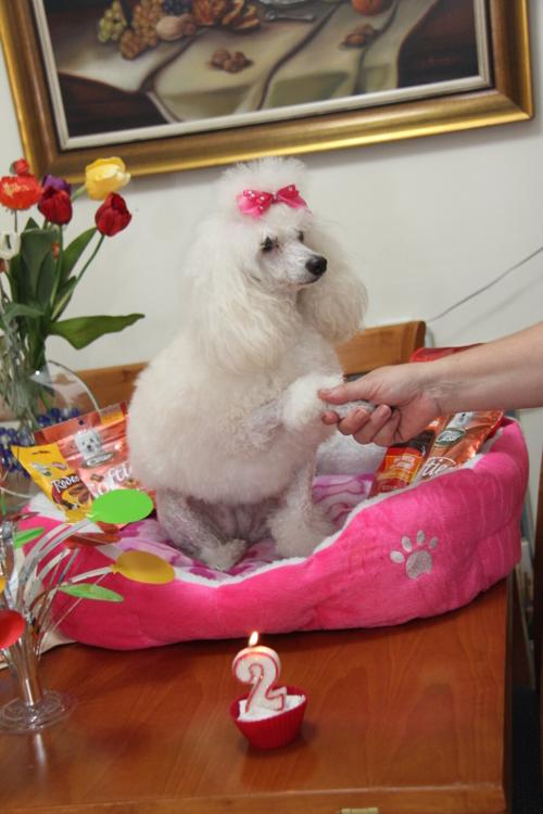Nina Weissman, Birthday Party 2