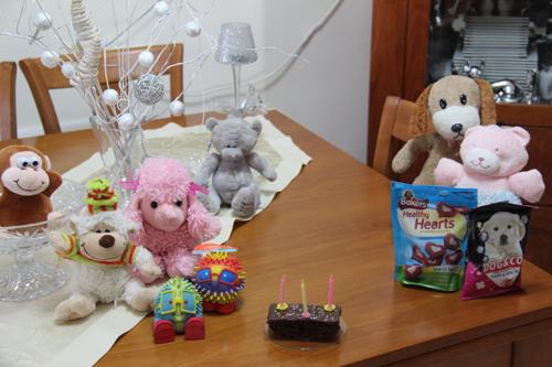 Nina Weissman, Birthday Party 3