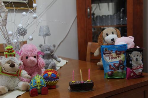 Nina Weissman, Birthday Party 3