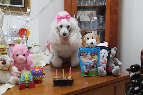 Nina Weissman, Birthday Party 3