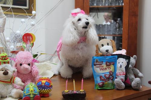 Nina Weissman, Birthday Party 3