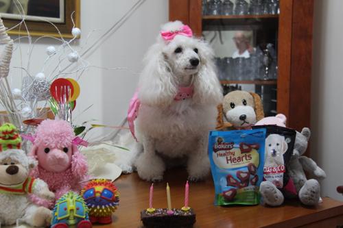 Nina Weissman, Birthday Party 3