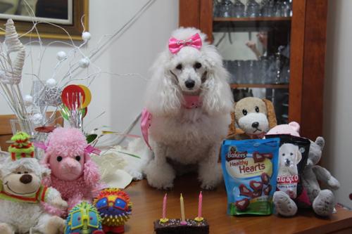 Nina Weissman, Birthday Party 3