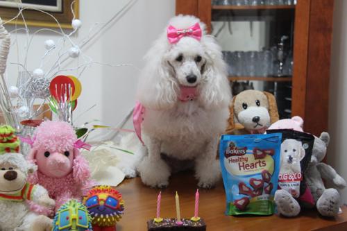 Nina Weissman, Birthday Party 3