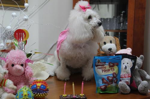 Nina Weissman, Birthday Party 3