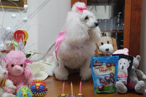 Nina Weissman, Birthday Party 3