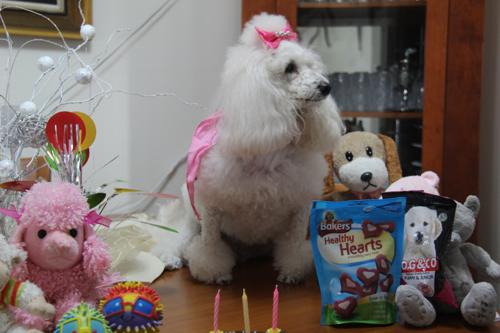 Nina Weissman, Birthday Party 3