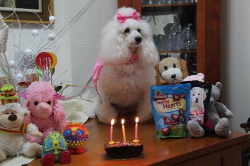 Nina Weissman, Birthday Party 3