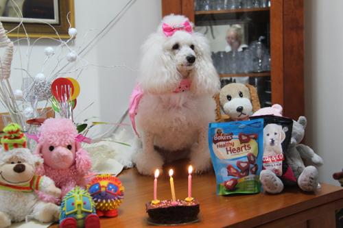 Nina Weissman, Birthday Party 3