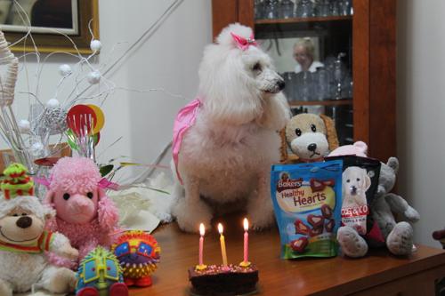 Nina Weissman, Birthday Party 3