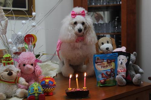 Nina Weissman, Birthday Party 3