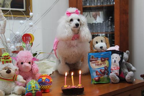 Nina Weissman, Birthday Party 3