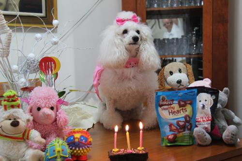 Nina Weissman, Birthday Party 3
