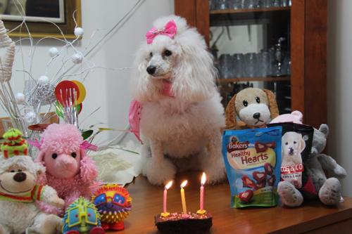 Nina Weissman, Birthday Party 3